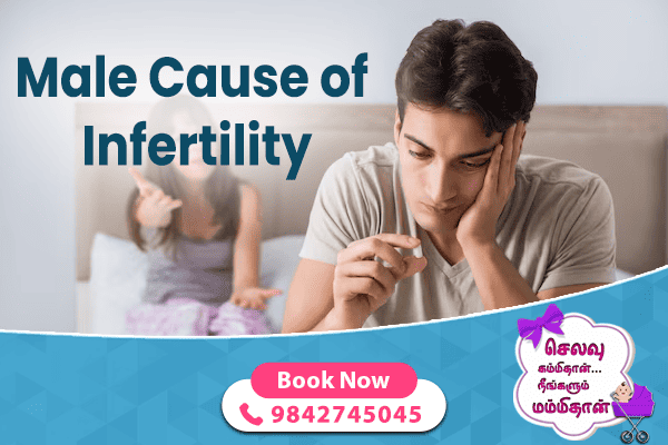 Male Causes Of Infertility