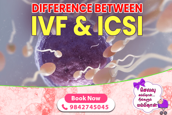 Difference Between IVF and ICSI