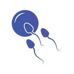 Sperm Test